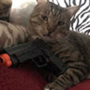 Meet your Posher, Des